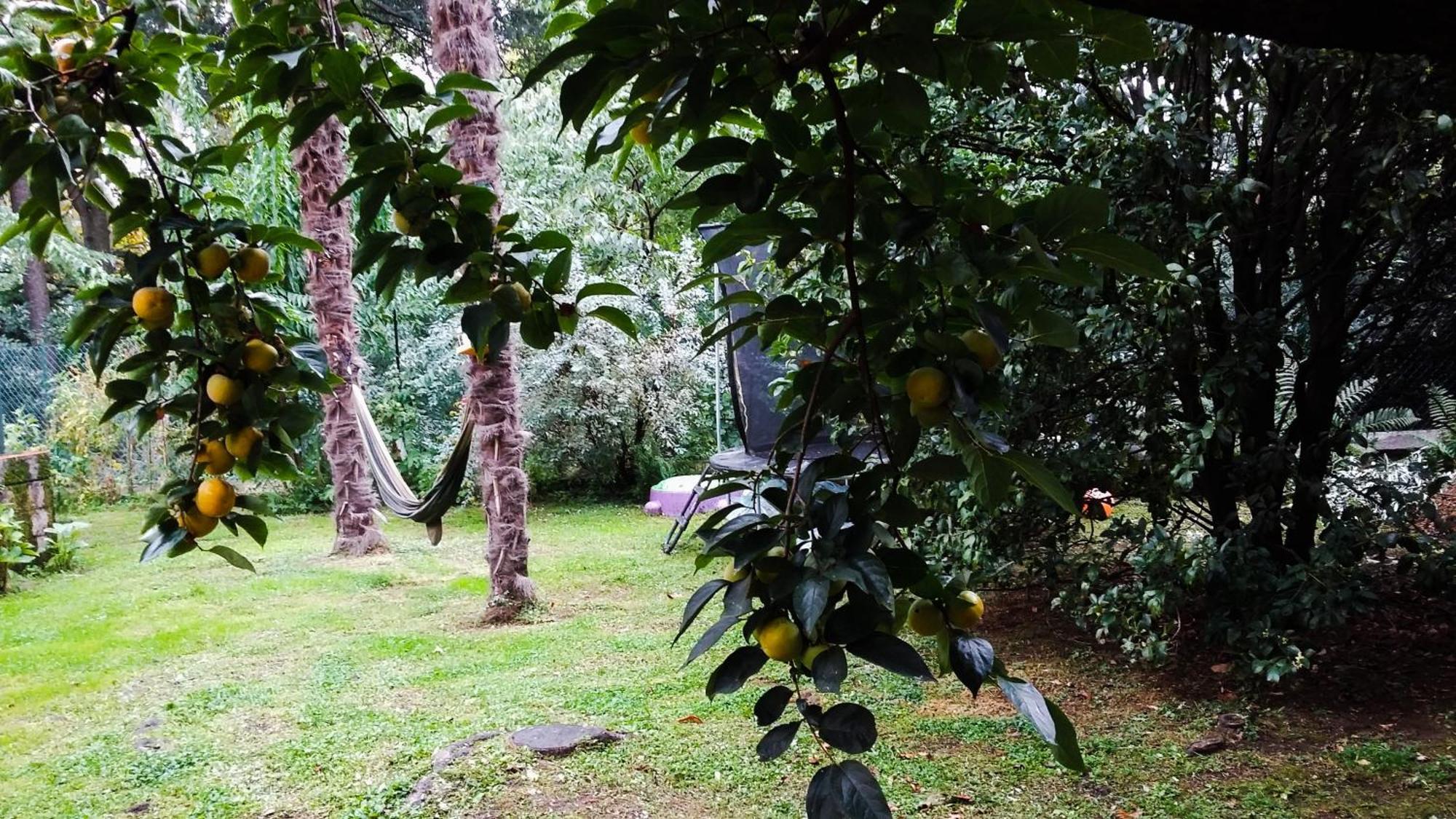 Adda River Casa Vacanza Calolziocorte Bagian luar foto